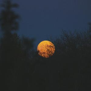 欧美亚洲中文字幕
